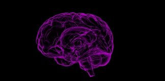 L'infiammazione delle gengive non innescare la malattia di Alzheimer?