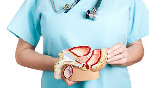 prostatricum prezzo posologia