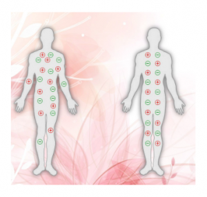 Therapeutic Bracelet, sito ufficiale, originale, Italia