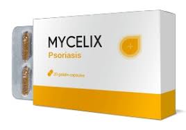 Mycelix, forum, opinioni, commenti, recensioni