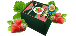 Home Berry Box, originale, dove si compra, opinioni, funziona, prezzo