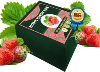 Home Berry Box, originale, dove si compra, opinioni, funziona, prezzo
