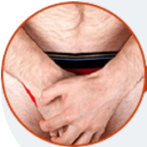 Predstavit, Italia, originale, sito ufficiale