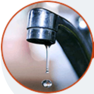 Predstavit, come si usa, composizione, funziona, ingredienti