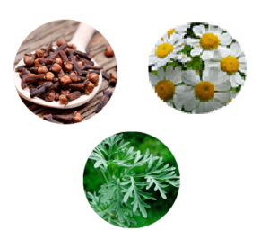 Wortex, prezzo, farmacia, amazon, dove si compra