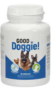 Good Doggie, originale, opinioni, funziona, prezzo, dove si compra