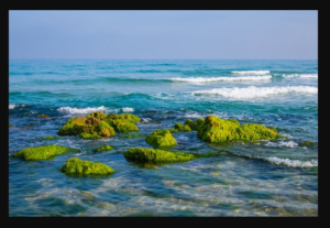 BLU Klamath, Italia, originale, in farmacia