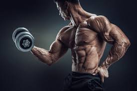 Muscle Formula, come si usa, funziona, composizione, ingredienti