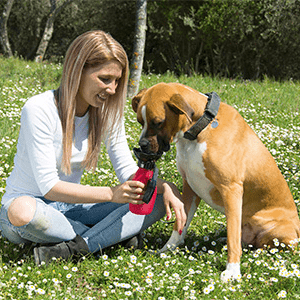 Doggy Bottle, come si usa, composizione, funziona, ingredienti