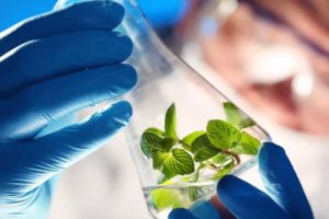 CBmedX, dove si compra, farmacia, amazon, prezzo