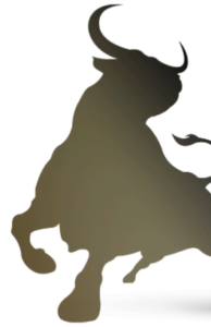 Long Tauro Power, funziona, composizione, ingredienti, come si usa